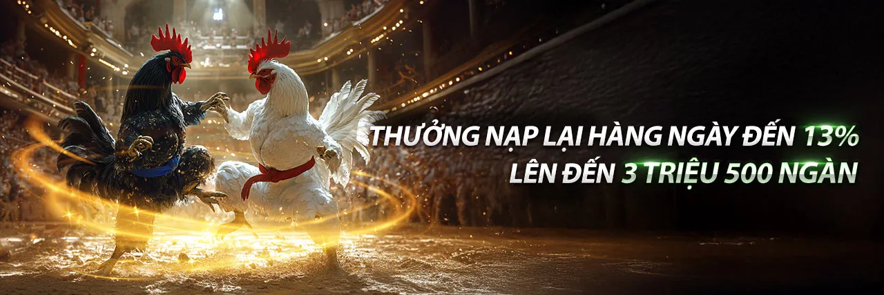 Sàn đấu gà trực tiếp 88online chuyên nghiệp hàng đầu